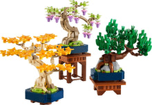 10373 Mini Bonsai Trees