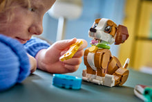 31382 Cute Animals: Playful Puppy Dog (Certified Complete)