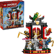 71866 Ninja Character Display (Certified Complete)