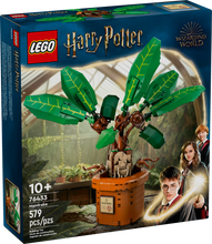 76433 LEGO Harry Potter: Mandrake