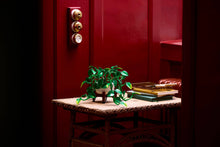 11512 Hanging Golden Pothos