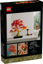 10348 Japanese Maple Tree