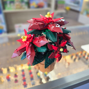 10370 Poinsettia Plant (Previously Owned)