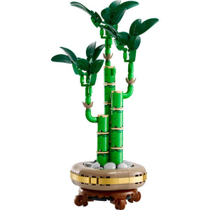 10344 Lucky Bamboo