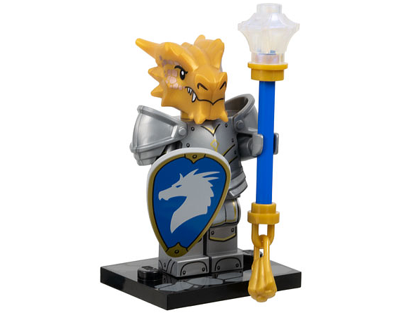 coldnd-4 Dragonborn Paladin, Dungeons & Dragons
