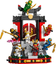 71866 Ninja Character Display (Certified Complete)