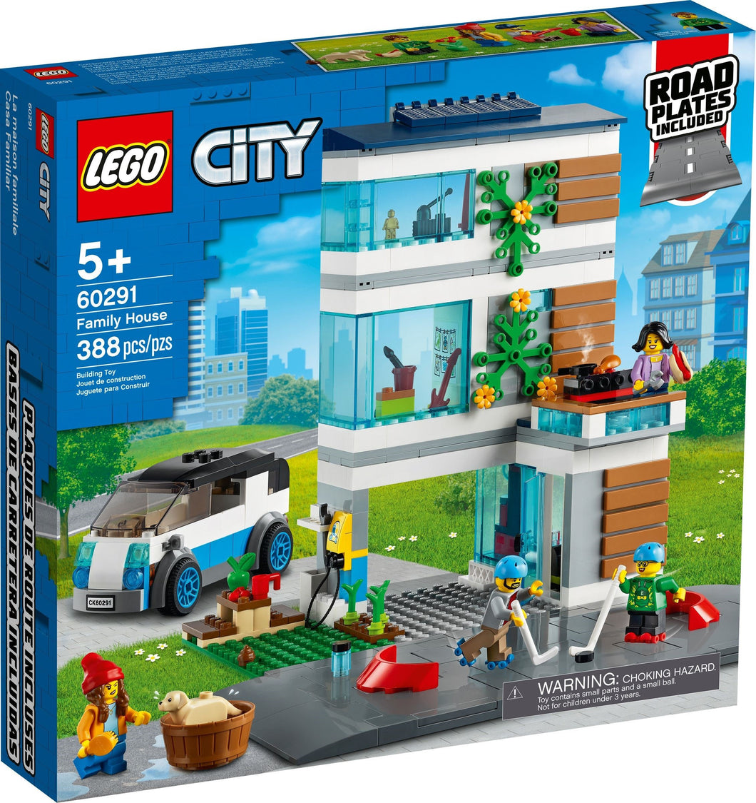 60291 Family House (Retired) (New Sealed)