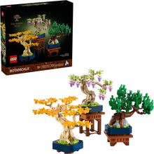 10373 Mini Bonsai Trees