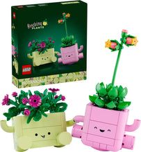 11506 Rocking Plants