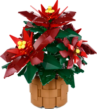 10370 Poinsettia Plant