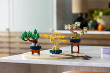 10373 Mini Bonsai Trees