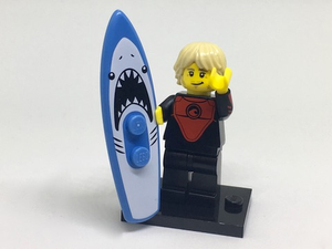 col17-1 Pro Surfer, Series 17