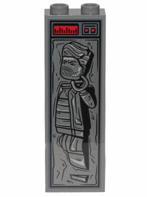 SW1122s Human in Carbonite