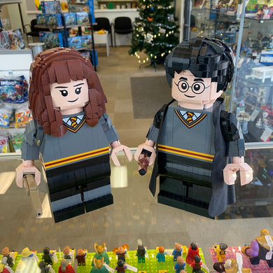 76393 LEGO Harry Potter: Harry Potter & Hermione Granger (Retired) (Previously Owned)