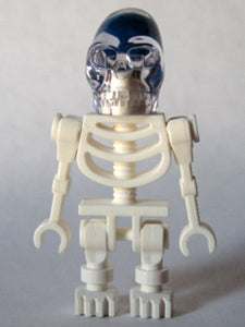 IAJ011 Akator Skeleton
