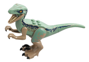 Raptor09 Dinosaur Raptor with Sand Green Back